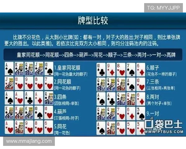 参与中国德州扑克赛事的实用攻略与报名流程详解